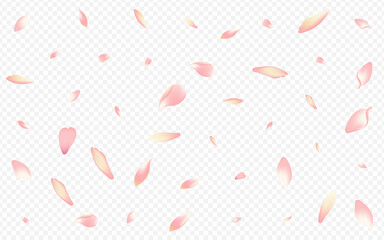 Bright Heart Vector Transparent Background. Rosa