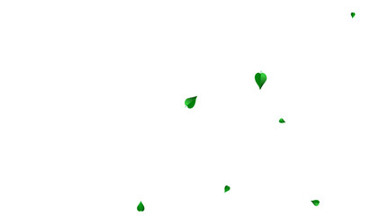 Lime Leaf Realistic Vector White Background