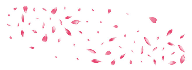 Fototapeta na wymiar Pastel Cherry Petal Vector White Background.