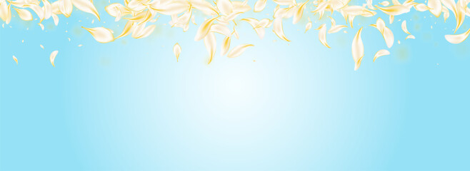 Delicate Lotus Beauty Vector Panoramic Blue