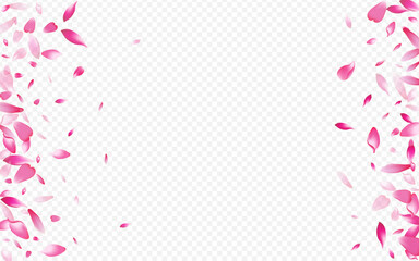 Bright Petal Vector Transparent Background. Rose