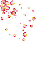 Pink Flower Fall Vector White Background. Fly