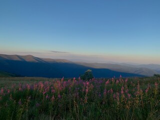 sunrise in the mountains