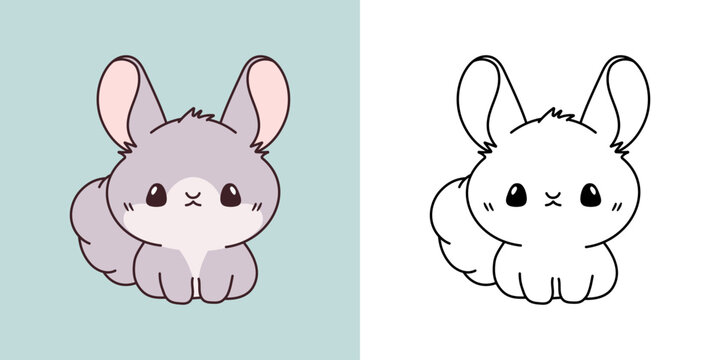 Cute Baby Chinchilla Clipart Illustration and Black and White. Kawaii Clip Art Animal. Cute Vector Illustration of a Kawaii Baby Pet for Stickers, Prints for Clothes, Baby Shower