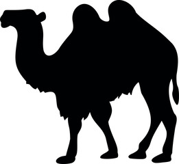 camel cartoon isolated