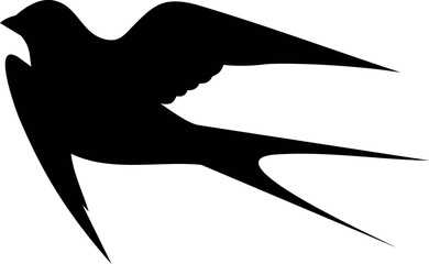 silhouette of a bird - obrazy, fototapety, plakaty