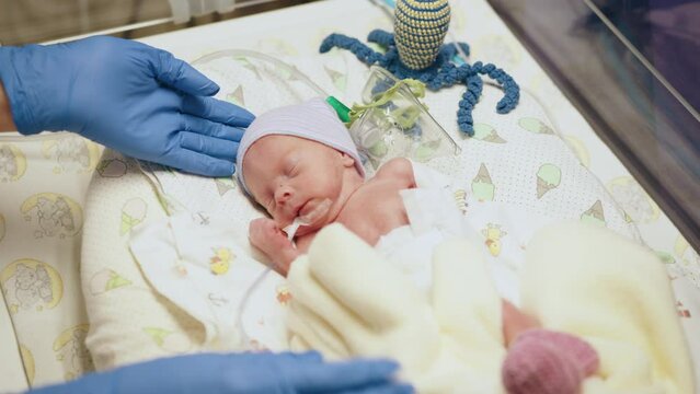 Top view of unrecognizable doctor in white gloves carying at neonatal intensive care unit in hospital. Newborn is placed in the incubator