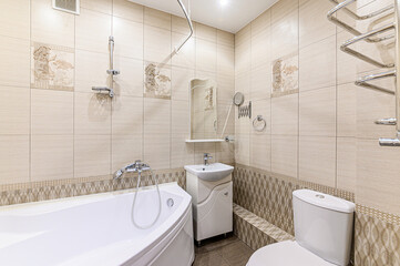interior apartment room bathroom, sink, decorative elements, toilet