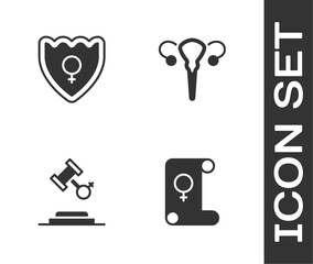 Set Feminism, Gender shield, Female, rights and reproductive system icon. Vector