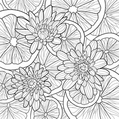 Citrus fruits and chrysanthemums top view. Coloring page for adults