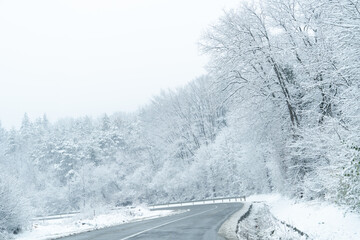 Winter landscape with snow-covered trees and road