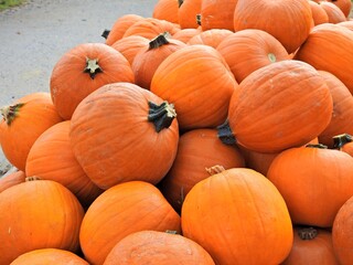 Verkauf ab Hof - orange Kürbisse