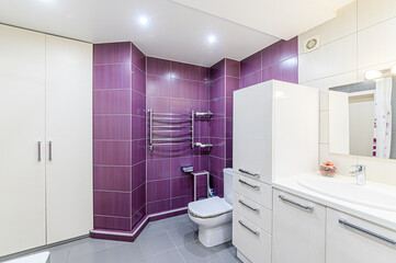 interior apartment room bathroom, sink, decorative elements, toilet