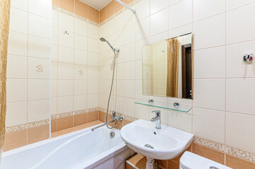 interior apartment room bathroom, sink, decorative elements, toilet