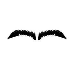 Eyebrow Shape Illustration