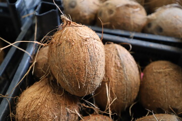 Several coconuts in a black plastic case, fresh delicious coconuts, fruit ready for shipment, field of depth