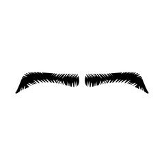 Eyebrow Shape Illustration