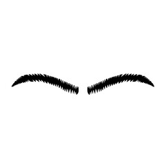 Eyebrow Shape Illustration