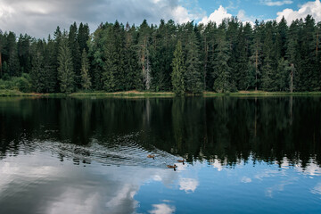 Fototapeta na wymiar Beautiful forest lake in Russia.