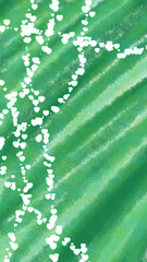 Green abstract background