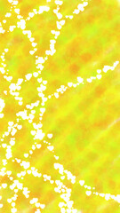 autumn leaves on the water