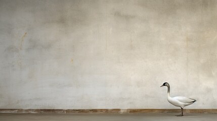  a white goose standing in front of a white wall with a black beak.  generative ai