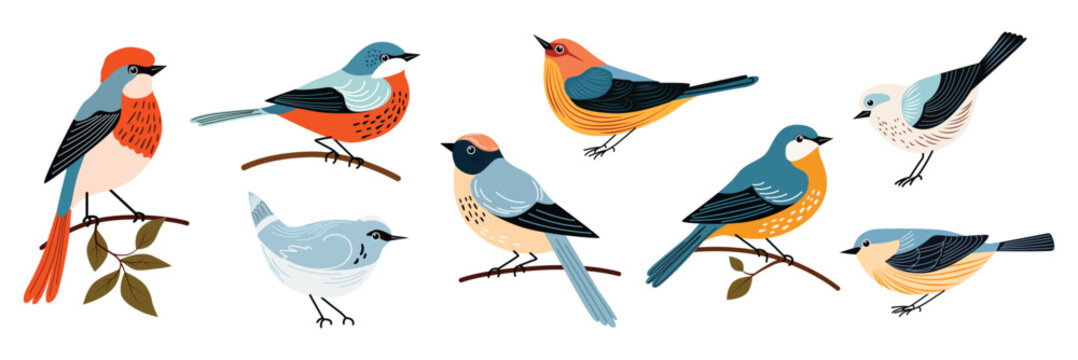 Set of decorative birds hand draw flat style