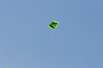Kite