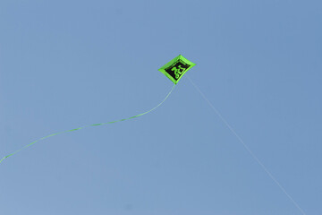 Kite