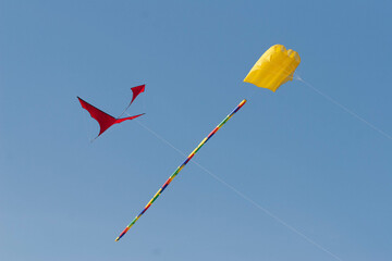 Kite