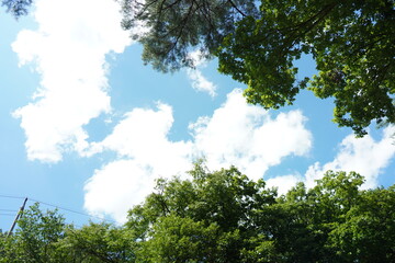 한국의 매우 더운 여름날속 하천변