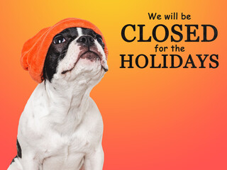 Signboard with the inscription We will be closed for the Holidays. Cute puppy and orange hat. Closeup, indoors. Studio shot. Pets care concept