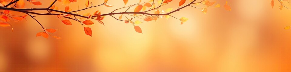 Obraz na płótnie Canvas Autumn Leaves. Panoramic Banner