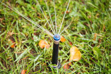 Lawn irrigation is automatic. Urban management.