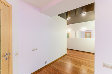 interior apartment room doors, renovation corridor lobby entrance hall