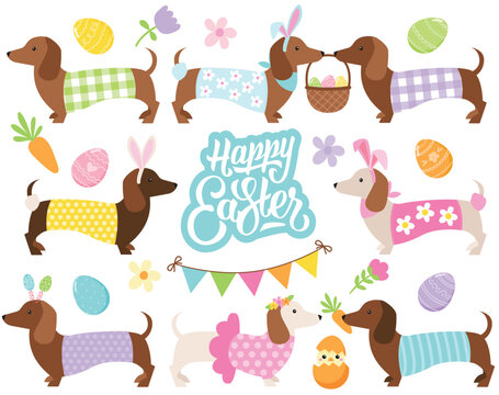 Dachshund, Easter Dogs, Easter Bunny