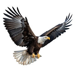 Flying bald eagle isolated on transparent background, Generative AI