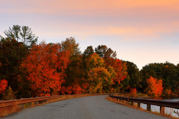 Beautiful New England Fall Foliage at sunrise, Boston Massachusetts.