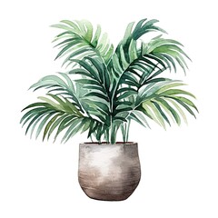 House plant in pot, watercolor illustration, isolated clipart on white background, green leaves, flower