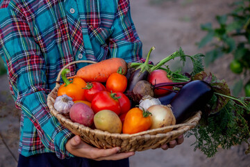 A child holds a harvest of vegetables in his hands. Selective focus