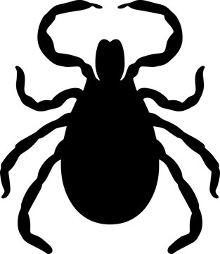 black tick silhouette isolated clip art preview