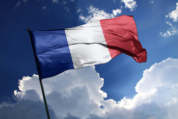 national flag of France waving in the wind on a clear day.