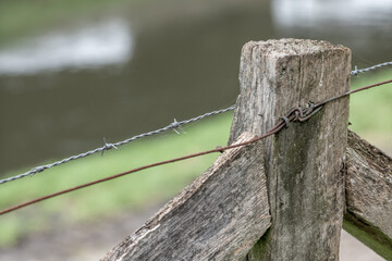 barbed wire on a fence