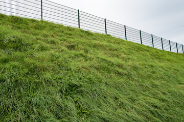 Fototapeta na wymiar fence and grass and grey sky