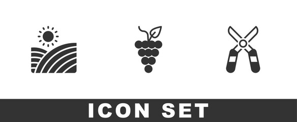 Set Vineyard wine grapes, Bunch of and Gardening scissors icon. Vector