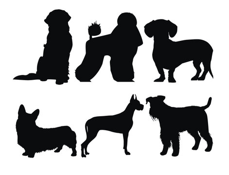 Dog silhouette black vector design. Poodle, airedale, dachshund, doberman, welsh, corgi dogs svg, png, jpeg, eps,. Cut file cricut, silhouette