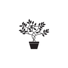 Obraz premium BONSAI ICON