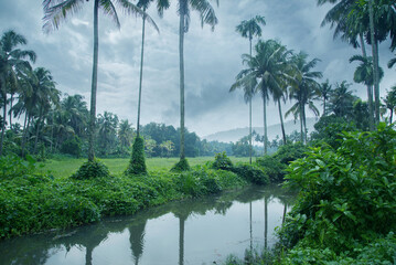 A beautiful landscape scene in Kerala, features a beautiful stream flowing in the middle of a lush green farm against a cloudy sky. 