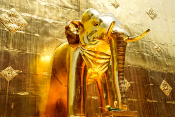The golden elephant chedi of Phra sing Temple in Chiang Mai, Thailand. One of the most famous...