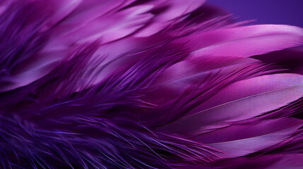 Purple Feather ultra macro close-up banner background. generative AI.